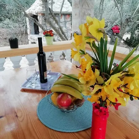 Vakantiehuis Secluded House Cove Nevidjansko Polje, Pasman - 12806 *